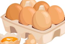 Column | Bengal’s summer of the egg