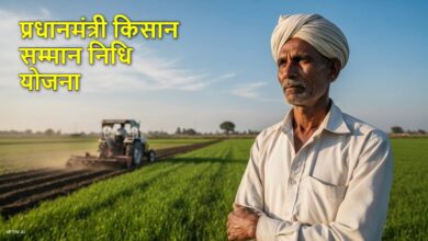 PM Kisan: अगली किस्त से पहले किसान जल्द पूरे कर लें ये काम, वरना अटक सकते हैं 2000 रुपए, जानें डिटेल्स